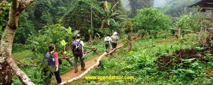 Circuit Vietnam Nord en 2 semaines, 8 jours trek, Trekking Mai Chau et Pu Luong