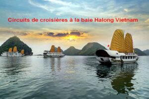 Circuits de croisières dans la baie Halong Vietnam