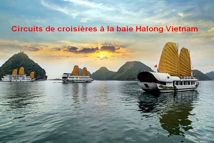 Circuits de croisières dans la baie Halong Vietnam