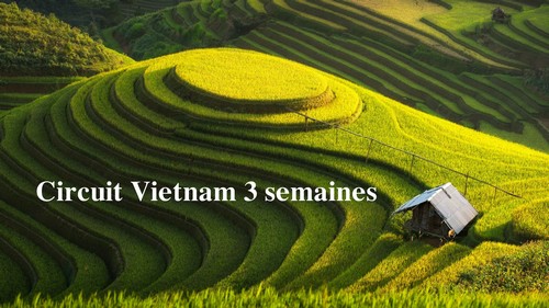 Circuit Vietnam 3 semaines