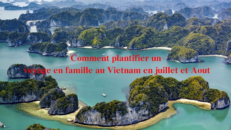 Comment plantifier un “ voyage en famille au Vietnam en juillet et août ”