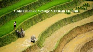 Guide de voyage Vietnam en Juin: Tout ce qu’il faut savoir avant de partir