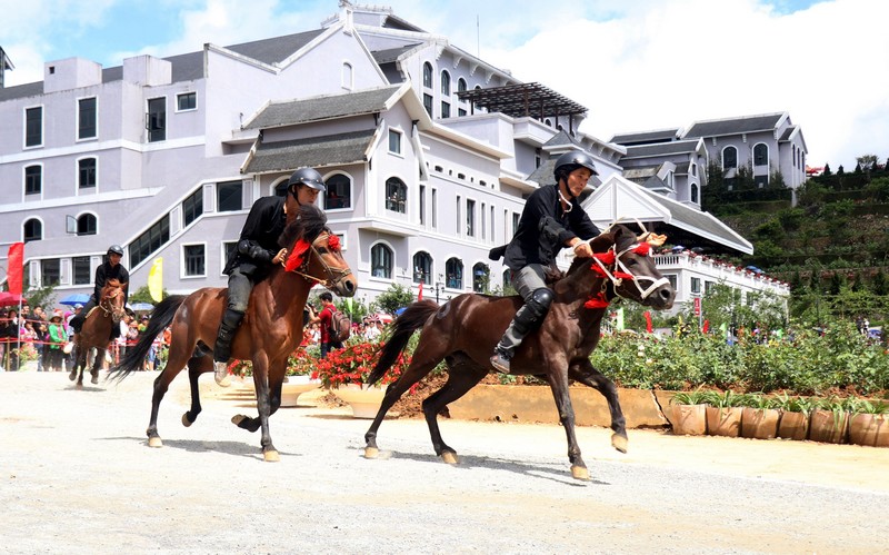 Courses de cheveaux traditionnelles de Bac Ha