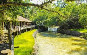 Voyage Vietnam: L’écotourisme prend de l’altitude à Dak Lak