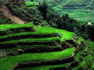 Découverte du village Mong des Thai à Son La (Nord Ouest Vietnam)