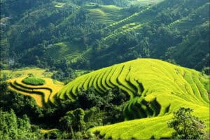 de la montagne du nord a la plage de con dao 31 jours 1 - agence locale voyage Vietnam Laos Cambodge -Agenda Tour