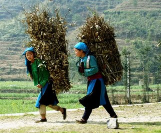 Découverte approfondie du Vietnam en 5 semaines