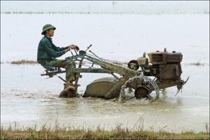 Voyage Vietnam: Tourisme de l’année 2013 pour le delta du fleuve Rouge