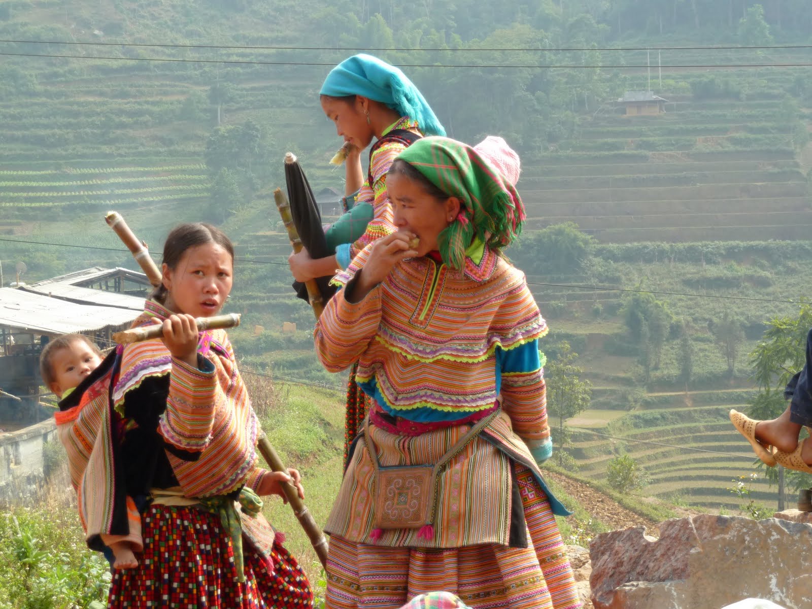 Ethnies et Patrimoines Vietnam 14 jours