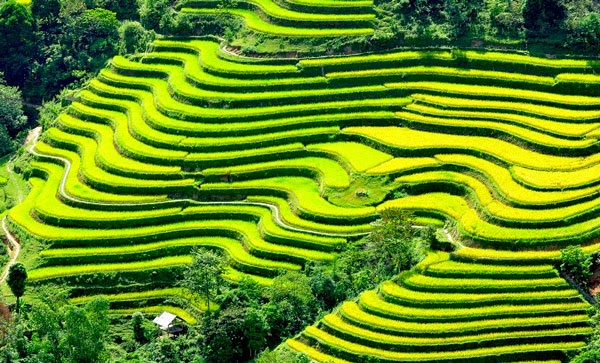 Extraordinaire nord Vietnam 16 jours