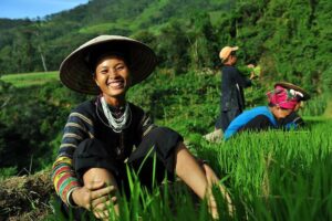 Faut – t-il visiter le Nord Vietnam en Été ? Découvrez les avantages et inconvénients