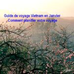 Guide de voyage Vietnam en Janvier: Comment planifier votre voyage