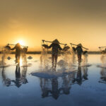 Guides et conseils de voyage Vietnam en printemps