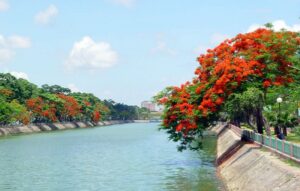 Hai Phong