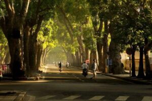 Voyage au Vietnam: À Hanoi, l’été aux couleurs du Nord-Ouest