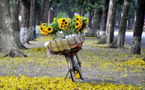 Voyage à Hanoi: Carnet de voyage