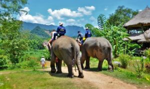 Les destinations idéales pour votre circuit Vietnam en Octobre et Novembre