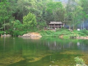 La liberté dans la forêt de Khe Ro – Bac Giang (150 km de Hanoi)