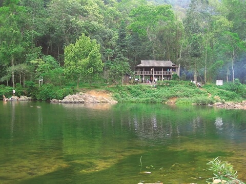 La liberté dans la forêt de Khe Ro – Bac Giang (150 km de Hanoi)
