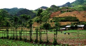 Ce qu’on visite lors de votre voyage à Ha Giang – Vietnam