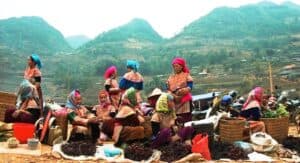 le vietnam du nord au sud 26 jours 1 - agence locale voyage Vietnam Laos Cambodge -Agenda Tour