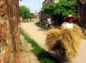 long circuit vietnam 62 jours 1 - agence de voyage Vietnam Laos Cambodge