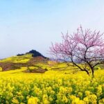 Meilleure saison de Voyage au Vietnam