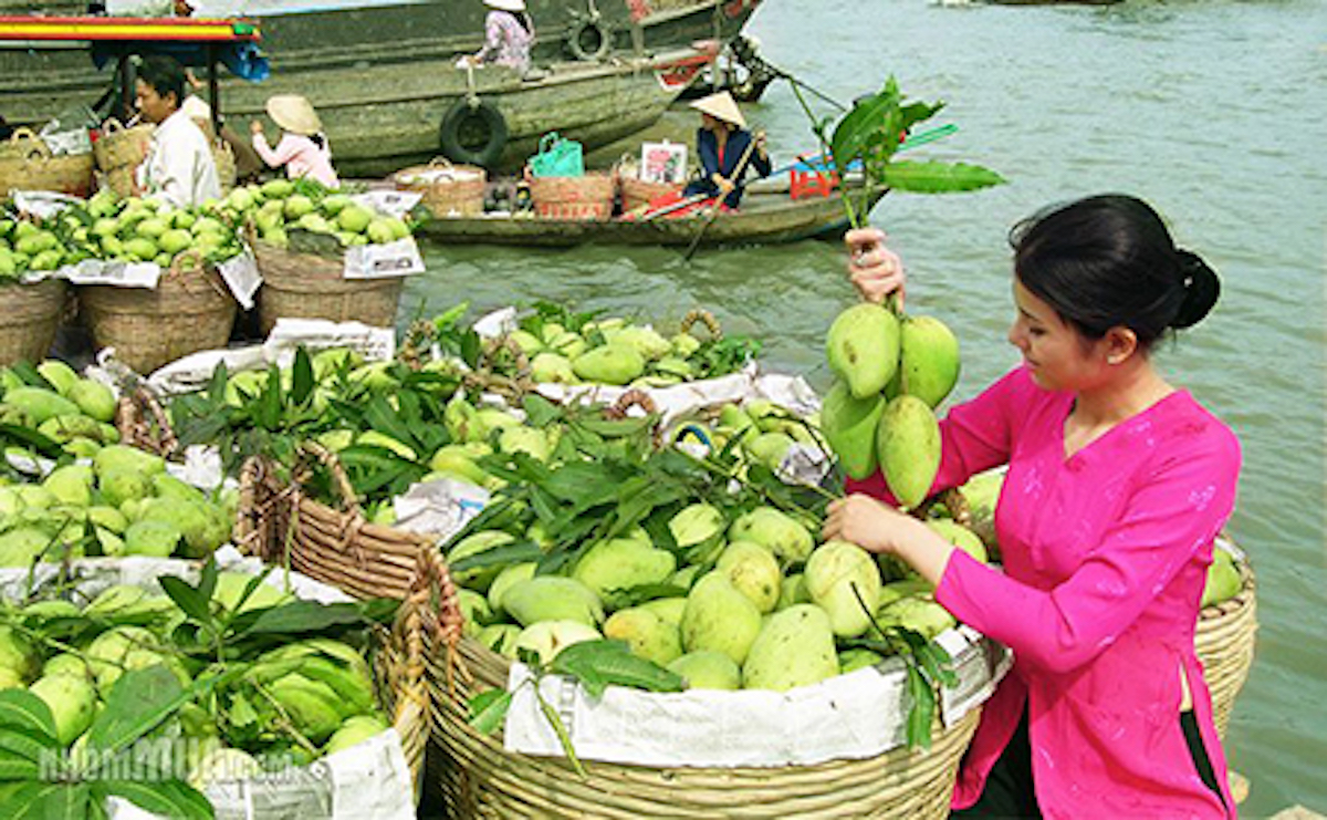 Le Sud Vietnam et plage de Phu Quoc 12 jours