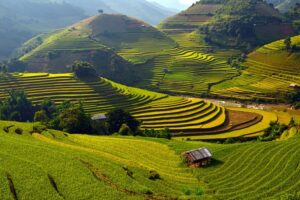 Mu Cang Chai et Rizieres