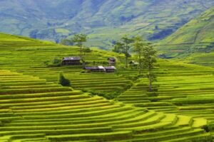 Yen Bai (Province du Nord – Ouest Vietnam)