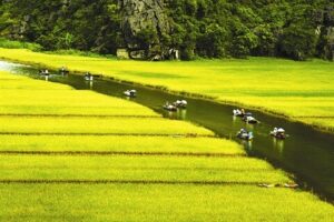 Nouvelle reconnaissance pour Ninh Binh