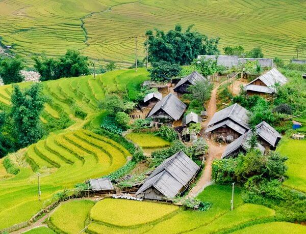 Nord -Ouest Vietnam authentique 12 jours (Visite du marché de l’amour Moc Chau)