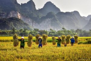 Découverte de la montagne du Nord Vietnam