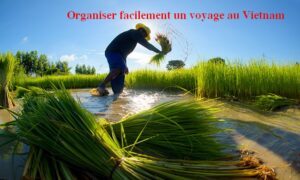 Organiser facilement un voyage au Vietnam
