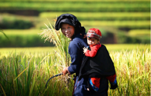 Où visiter au Vietnam en septembre?
