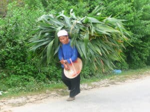 Nord Est Vietnam 20 jours