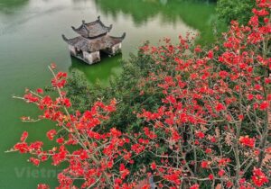 Voyage au Nord Vietnam Mr Jean-Noël et Mme Colette – Jour 1