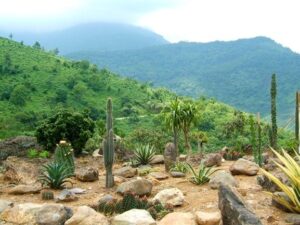 Voyage au Vietnam: Ba Vi séduit les touristes en toute simplicité