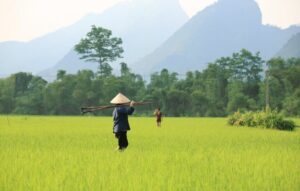 Raisons pour voyager avec Agenda Tour Vietnam