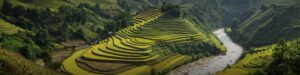 Rencontrer les habitants du Vietnam en août : témoignages et récits authentiques