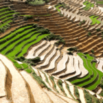 Le Vietnam, l’une des 20 premières destinations à visiter dans la vie