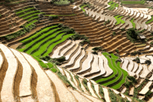 Le Vietnam, l’une des 20 premières destinations à visiter dans la vie