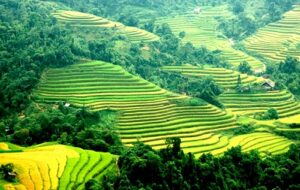 Guide du voyage à Sapa