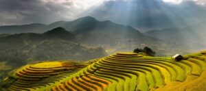 Raisons et destinations recommandées au Nord Vietnam en Été