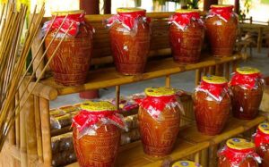 Les plats spéciaux à ne pas rater lors de son voyage à la baie Halong terrestre