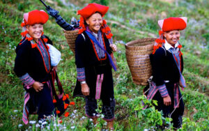 Sapa – Les grandes montagnes du Vietnam
