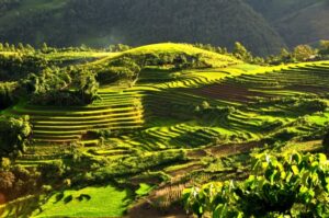 Le charme de Sapa