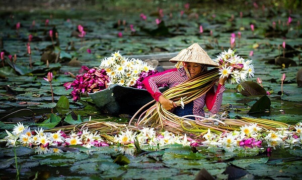 6 meilleures destinations au Sud du Vietnam