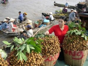 Découvrir le Nam Bô occidental extraordinaire de la saison des inondations