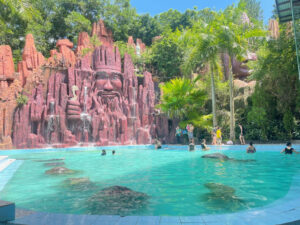 Les Stations Thermales à Thanh Thuy: Une Oasis de Bien – être au Cœur du Vietnam